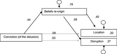 The Proximity between Hallucination and Delusion Dimensions: An Observational, Analytic, Cross-Sectional, Multicentre Study